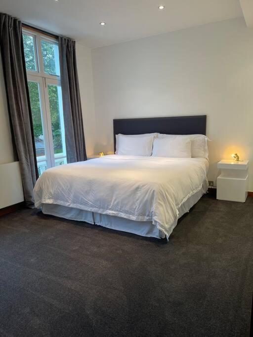 Designer 2 Bedroom Pimlico لندن المظهر الخارجي الصورة